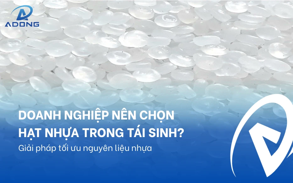 Doanh nghiệp nên chọn hạt nhựa trong tái sinh? Giải pháp tối ưu nguyên liệu nhựa