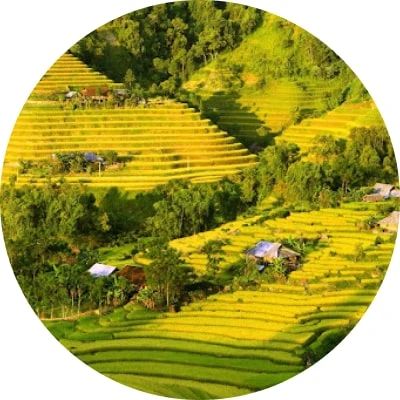 Tiếp bước đến trường