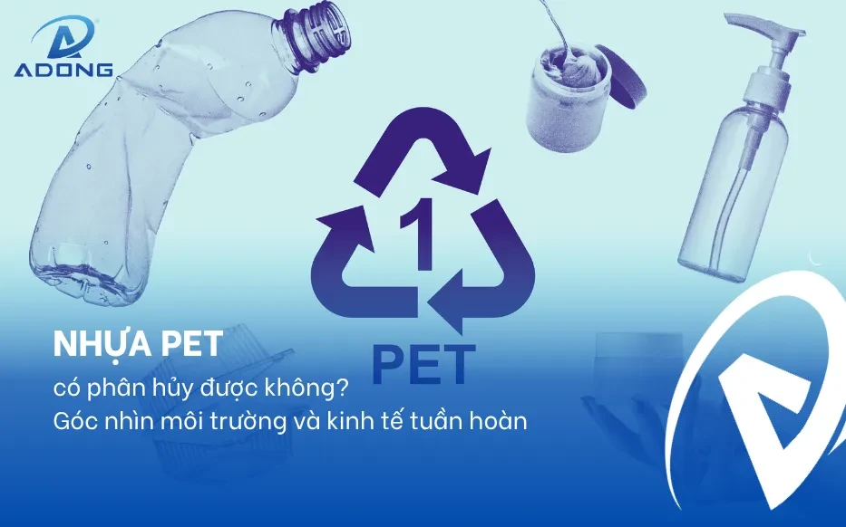 Nhựa PET có phân hủy được không? Góc nhìn môi trường và kinh tế tuần hoàn