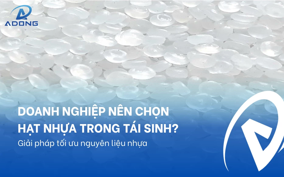 Doanh nghiệp nên chọn hạt nhựa trong tái sinh? Giải pháp tối ưu nguyên liệu nhựa